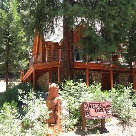 Villa Tioga Logs